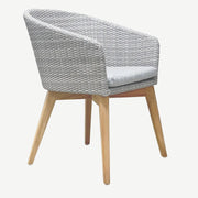 Toledo Dining Arm Chair