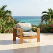 Denver Lounge Arm Chair