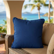 Throw Cushion (16 Inch)
