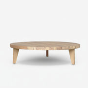 Mexico Coffee Table